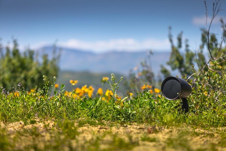 An outdoor audio system speaker sits among wildflowers with cloud-capped mountains in the background.