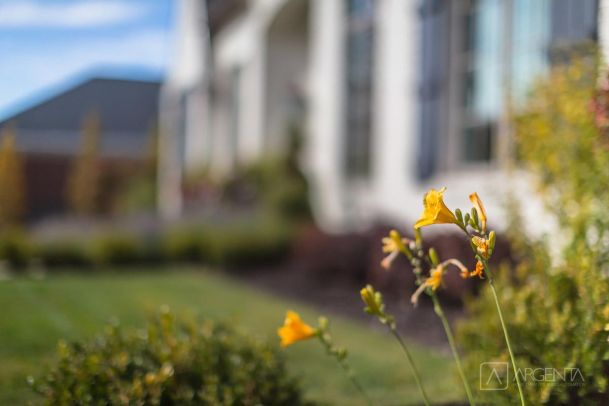 Close-up of yellow flowers in a landscaped garden with a blurred view of a modern home in the background.