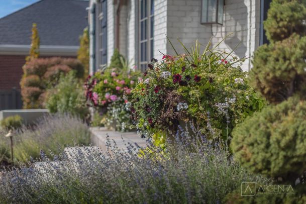 Home Network Setup Salt Lake City, UT, Smart Home Automation, Argenta Solutions Utah, Home Control